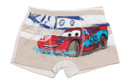 Боксеры для мальчика серый Тачки Cool Kid