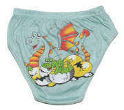 Трусы для мальчика серо-зеленый с драконом Cool Kid