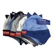 Шапка NEO микс () 14001 дракон