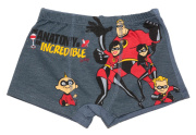 Боксеры для мальчика графитовый  Суперсемейка Cool Kid