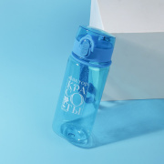  SVOBODA VOLI Бутылка «Фактор красоты» (400мл)