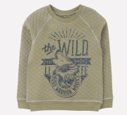 Джемпер для мальчика хаки Crockid КР 301069