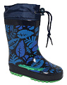 Резиновые сапожки для мальчика Капитошка B8489 